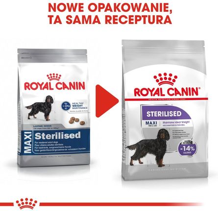 Karma Royal Canin Maxi Sterilised 12kg - Ceny i opinie - Ceneo.pl