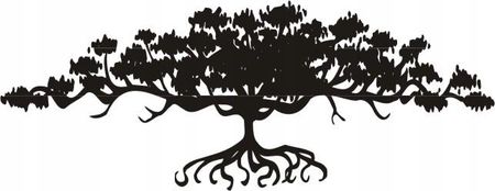 Naklejka na ścianę drzewo bonzai Drzewko bonsai