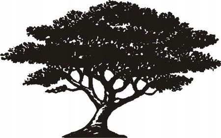 Naklejka na ścianę z drzewem drzewkiem Baobab mat