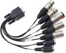 RME BO9632-XLRMKH 20 cm Kabel