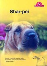 Zdjęcie Shar Pei - Golub-Dobrzyń