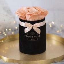 Brzoskwiniowe wieczne róże czarny flowerbox VELVET S - Kompozycje kwiatowe