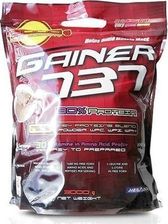 Zdjęcie Megabol 737 3Kg  - Piechowice