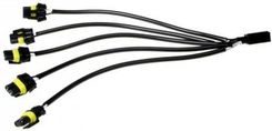 Zdjęcie Einparts Automotive Konektor Epwlr05 Dla 5 Lamp Roboczych - Kościan