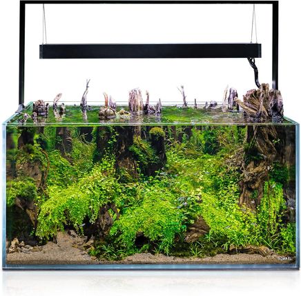 Aquael Ultrascape 90 243L Zestaw Akwarium Z Oświetleniem Forest Set