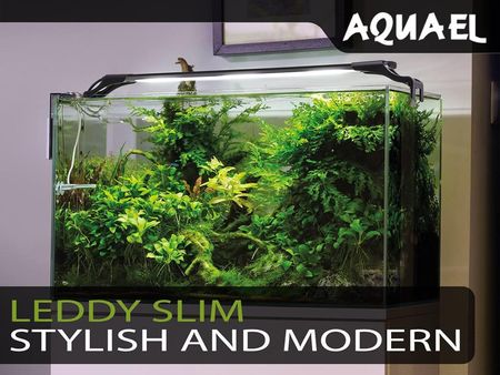 Aquael Leddy Slim Sunny D&N 36W Belka Led 100-120Cm Biała - zdjęcie 6