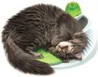 Tesla Smart Laser Dot Cats