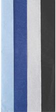 Zdjęcie Clairefontaine Bibuła Mix 4 Kolory 6 Arkuszy 50X70Cm - Brodnica