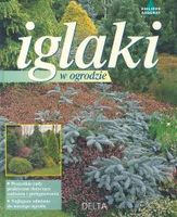 Zdjęcie Iglaki w ogrodzie - Stronie Śląskie
