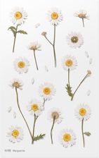 Zdjęcie Naklejki Ozdobne Kwiaty Margaretki - Kłecko