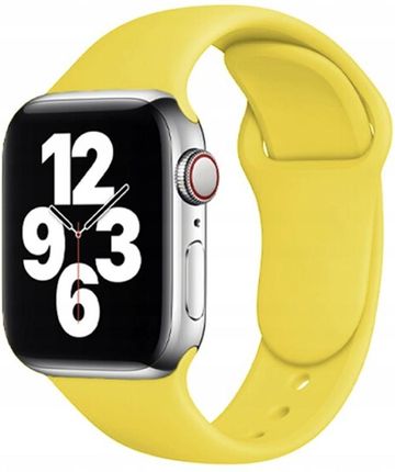 Pasek Do Apple Watch 1 2 3 4 5 6 7 Se 42/44/45 (9067f1c6)