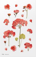Zdjęcie Appree Naklejki Ozdobne Kwiaty Geranium - Poniec