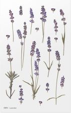 Zdjęcie Appree Naklejki Ozdobne Kwiaty Lawenda - Osiek