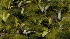 Zdjęcie Gamersgrass Laser Plants Bananowiec - Chojna