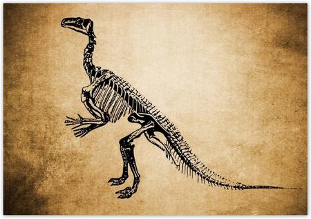 Fototapeta 312X219 Dinozaur Prehistoria Dino