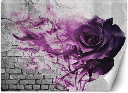 Inna Fototapeta 3D Mur Cegła Fioletowa Róża 368X254