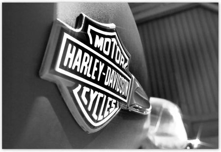 Fototapeta 104X70 Logo Harley Davidson
