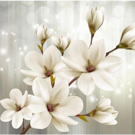 Fototapeta 350X245 Białe Kwiaty 3D Magnolie