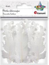 Zdjęcie Titanum Piórka Dekoracyjne Białe Curly 6 Szt. - Dzierzgoń