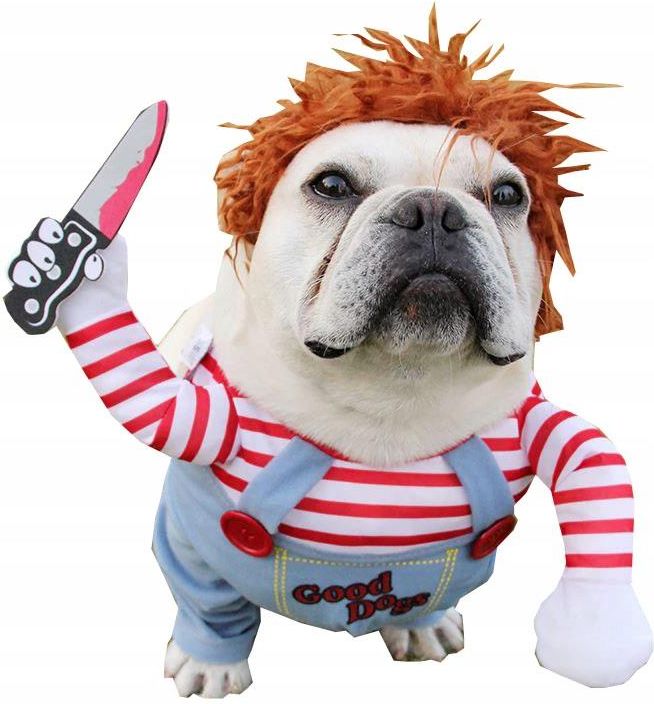 Przebranie Dla Psa Na Halloween Ubranie Dla Psa Przebranie Halloween Kostium - Ceny i opinie - Ceneo.pl