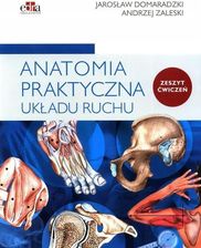 Zdjęcie Anatomia praktyczna układu ruchu. Ćwiczenia - Piaski