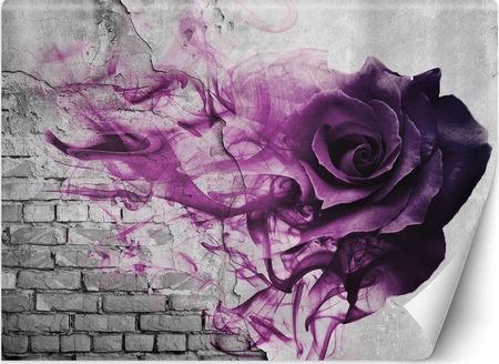 Feeby Fototapeta 3D Mur Cegła Fioletowa Róża 254X184