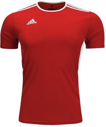 Adidas Koszulka Męska Sportowa Entrada T-shirt XXL