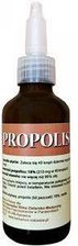 Zdjęcie Herbarium Św. Franciszka Propolis Krople 18% 40ml - Bieruń