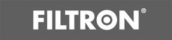 Zdjęcie FILTRON PP 963/1 - Rydzyna