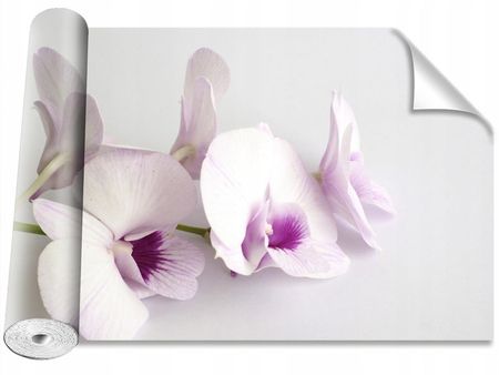 Tapeta Okleina Magicstick Białe Orchidee 104X70