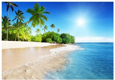 Fototapeta 3D Karaiby Plaża Palmy 208X146 F00166