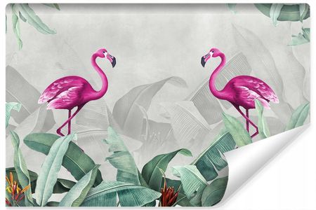 Fototapeta Flamingi Rośliny Tropikalne 3D 360X240