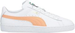 BUTY PUMA TESTASTRETTA III DUCATI 303603 03 - Ceny i opinie - Ceneo.pl