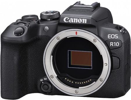 Canon EOS R10 ボディ　ケース付き キャノンEOS R10ケース (ブラック・ボルドーストライプ) 8号撥水帆布を