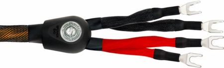 Wireworld Kabel głośnikowy Bi-Wire ECLIPSE 8 (ECB) Długość: 2 m