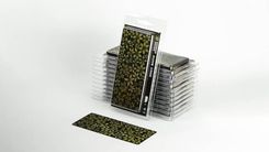 Zdjęcie Laser Plants Dumb Cane Difenbachia - Wrocław