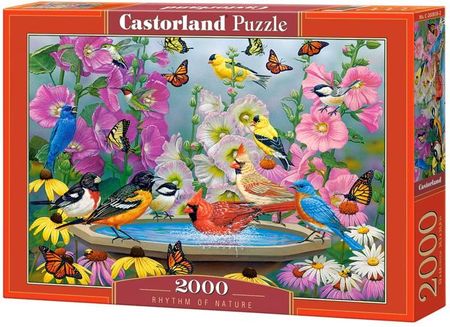 Castorland Puzzle 2000El. Rhythm Of Nature Rytm Natury
