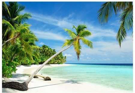 Printedwall Fototapeta 3D Malediwy Plaża Palmy 152x104 F00296