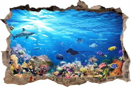 Eobraz Naklejki Na Ścianę Fototapeta 3D Dziura Dno Morza