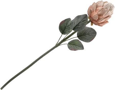 Kwiat Protea (Irys) 309624