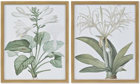 Dkd Home Decor Obraz Rośliny Botaniczne (2 Pcs) (43X3X53 Cm) 399782