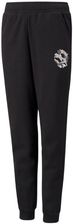 Zdjęcie PUMA Spodnie dla dzieci Puma Alpha Sweatpants FL - Czarny - Zabłudów