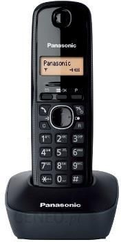 Panasonic KX-TG 1611PDH