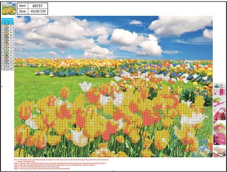 Panta Plast Mozaika Diamentowa 5D Flower Fields 30X40
