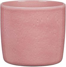 Zdjęcie Obi Osłonka Rosea Różowa Śr. 18cm - Szydłów