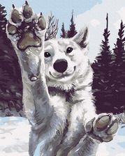 Zdjęcie Zestaw Malowanie Po Numerach - Ipicasso-pl krosno - Karczew