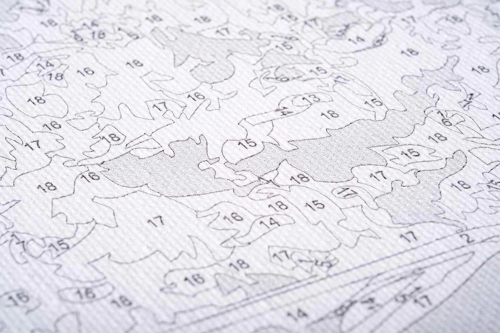 Obraz do Malowania Po Numerach 40X50 Twoje-Hobby