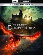 Zdjęcie Fantastyczne zwierzęta: Tajemnice Dumbledore'a [Blu-Ray 4K]+[Blu-Ray] - Bełchatów
