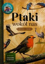 Zdjęcie Ptaki wokół nas - Małgorzata Wilamowska - Pińczów