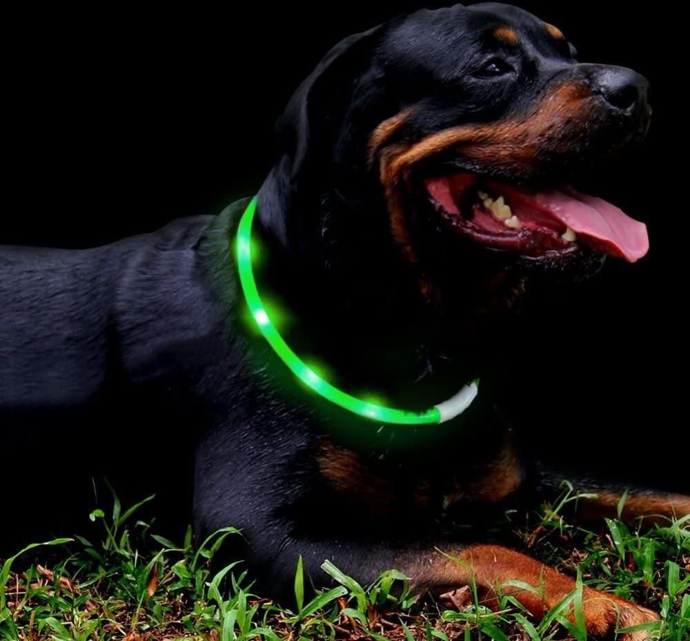 Unizoo Świecąca Obroża Led Dla Psa L W Kolorze Czerwonym - zdjęcie 1 Unizoo Świecąca Obroża Led Dla Psa L W Kolorze Czerwonym